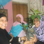 Supplying Avacado plants on Women's Day celebration - 2015.